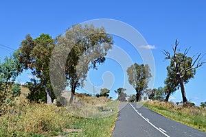 A view along the Banjo Paterson Way