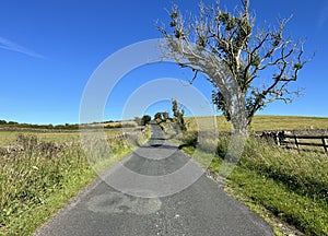 View along the, Clitheroe to Skipton road, on a summers day in, Slaidburn, Clitheroe, UK photo