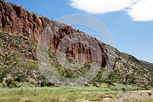 View along Finke river wetland at Glen Helen Gorge in the West MacDonnell Ranges