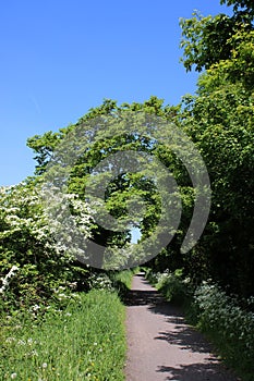 Footpath and cycle path along old railway line