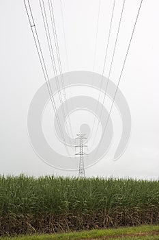 View along high voltage transmission line