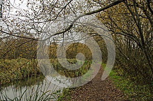 View along the Itchen Way in Hampshire on a cloudy day