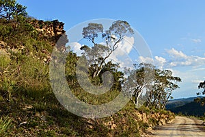 A view along Mount Hay Road in the Blue Mountains of Australia