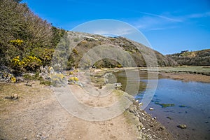 A view along the path beside the Pennard Pill stream from Three Cliffs Bay, Gower Peninsula, Swansea, South Wales