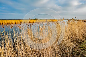 A view along the River Yare, Norfolk Broads, Acle