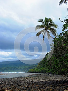 View along the rocky tropical coastline