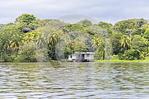 A view along the shore of the Tortuguero River in Costa Rica