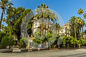 A view along a street in Seville, Spain