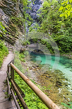 A view along a walkway above a calmer section of the Radovna River in the Vintgar Gorge in Slovenia photo