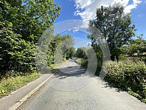 View along, Woodgate Lane, on a sunny day near, Weeton, Harrogate, UK