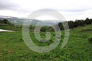 View of alpine meadow on the Lago-Naki plateau