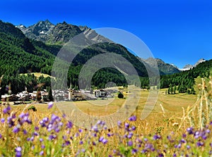 View on alpine mountain village Rhemes Notre Dame from hayfield