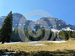 View of the Alpine peak Gnepfstein MittaggÃÂ¼pfi Mittagguepfi oder Mittaggupfi from the Eigental Valley, Eigenthal photo