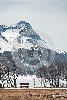 View alpine with vertical panorama