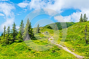 View of the alps along the famous hiking trail Pinzgauer spaziergang near Zell am See, Salzburg region, Austria....IMAGE