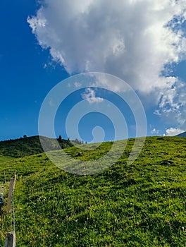 View on the Alps in Sarnen in Switzerland. Swiss Alps