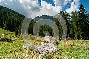 View of the Alps in summer