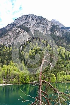 View of the Alpsee lake near the Neuschwanstein castle in Bavaria