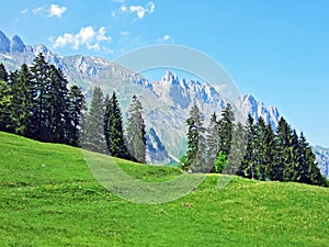 View of the Alpstein mountain range from the Rhine river valley Rheintal, Gams - Canton of St. Gallen, Switzerland