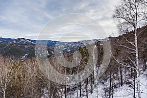 View of the Altai Mountains near Belokurikha, Altai, Russia