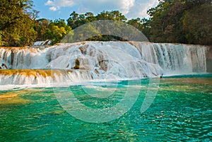 View of the amazing waterfall with turquoise pool surrounded by green trees. Agua Azul, Chiapas, Palenque, Mexico