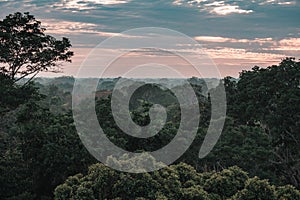 View on the Amazon rainforest during sunset