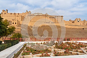 View of Amber fort and palace from Kesar Kyari Bagh garden on Maotha Lake. Rajasthan. India