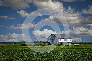 A View of an Amish Barn - Home With Vegetable Garden in the Middle of the Farmlands