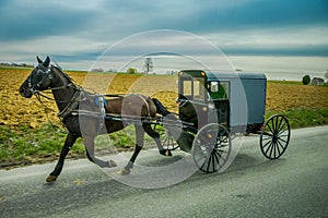 View of Amish buggy on a road with a horse in eastern Pennsylvania