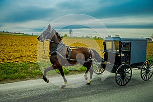 View of Amish buggy on a road with a horse in eastern Pennsylvania