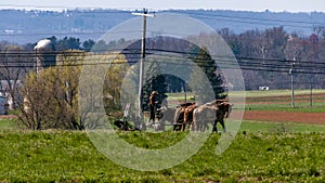 View of An Amish Farmer Plowing His Field With Four Horses on a Sunny Day