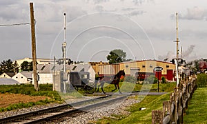 View of an Amish Horse and Buggy, Crossing a Countryside Rail Road Crossing