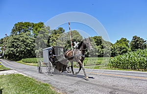 View of An Amish Horse and Carriage Traveling Down a Rural Country Road