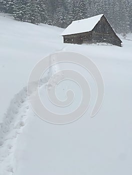 The view of Amphiteather of Transilvanya in winter time