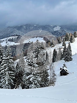 The view of Amphiteather of Transilvanya in winter time