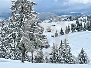 The view of Amphiteather of Transilvanya in winter time