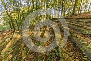 View of an ancient amphitheater in the middle of the forest