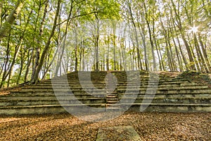 View of an ancient amphitheater in the open air in the middle of the forest