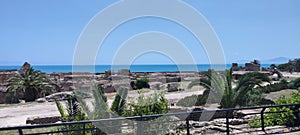 View of ancient Cartagena City on top of Byrsa Hill in Tunis Tunisia