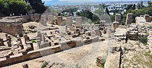 View of ancient Cartagena City on top of Byrsa Hill in Tunis Tunisia