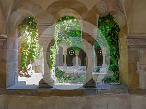 View of the ancient courtyard lit by the midday sun through stone arches with columns. Lush green ivy