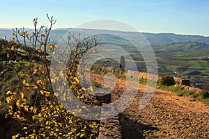 View of ancient road