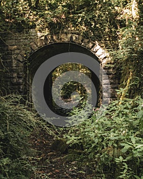 View of an ancient stone tunnel nestled among the lush foliage of a forest in Mountain Ash