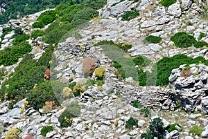 View of ancient wall of Monte Lora photo