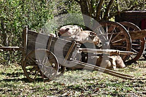 View of ancient wooden wagons for freight in the foreground