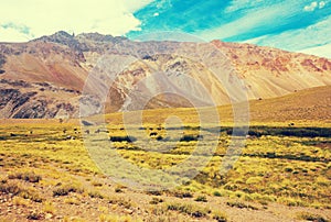 View of Andes mountains, Valle Hermoso photo