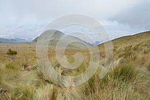 View from the Andes towards Quito