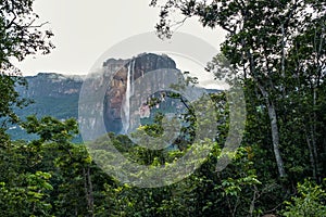 View of Angel falls, Canaima National Park