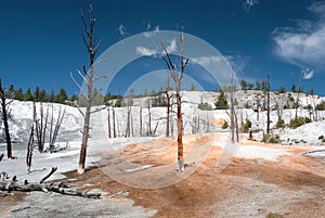 View at the Angel Terrace which formed of crystallized calcium carbonate, Mammoth Hot Springs