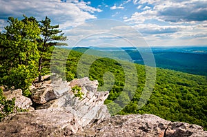 View from Annapolis Rocks, along the Appalachian Trail on South